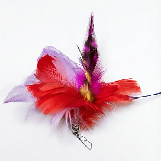 Wymienne końcówka do wędki piórka