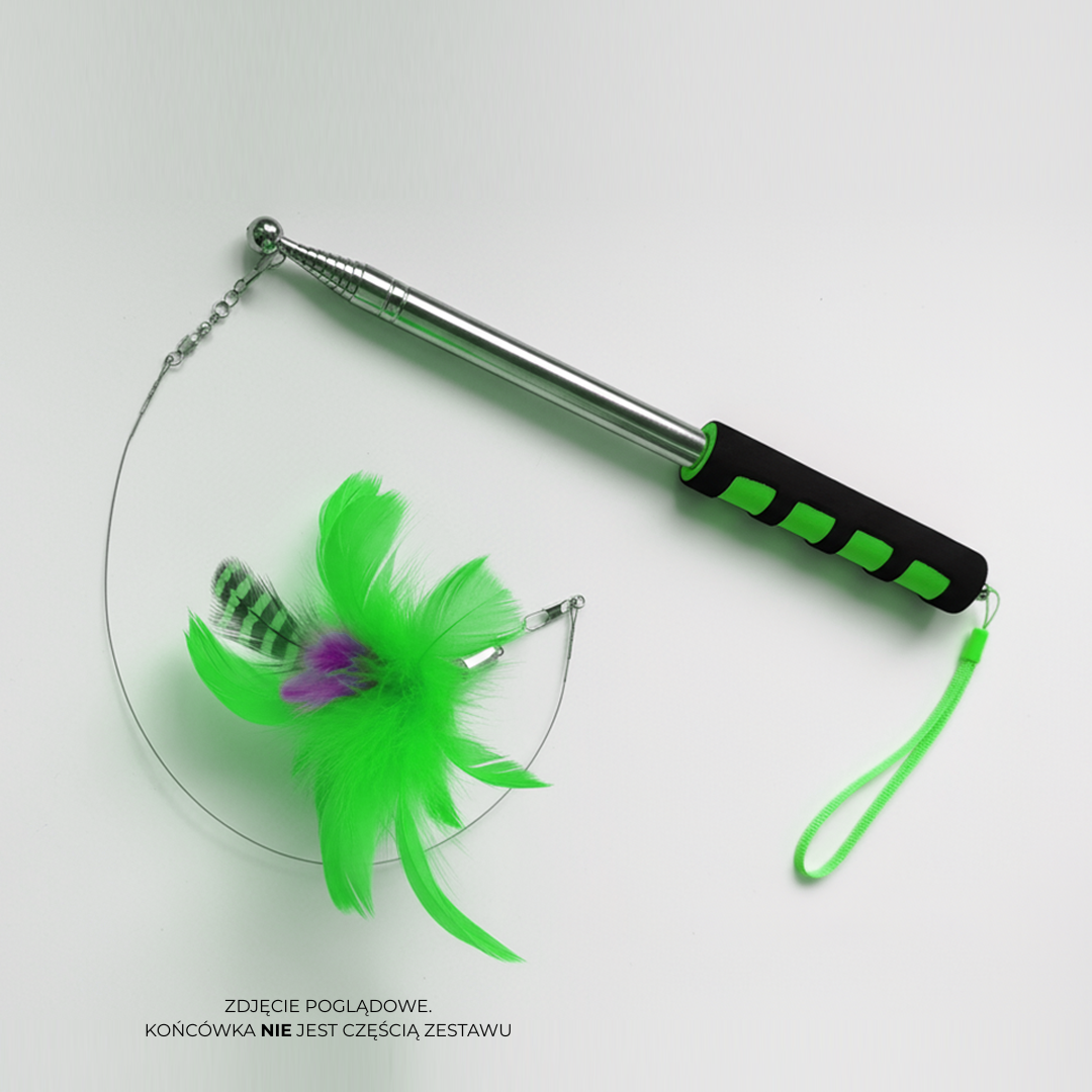 Wędka teleskopowa PRO XL 2m