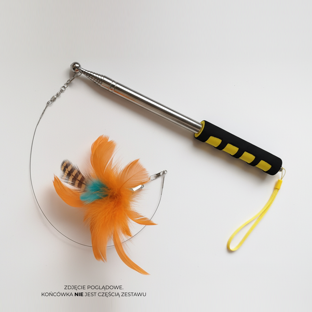 Wędka teleskopowa PRO XL 2m